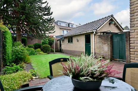 Hartweg 9 tertiary image