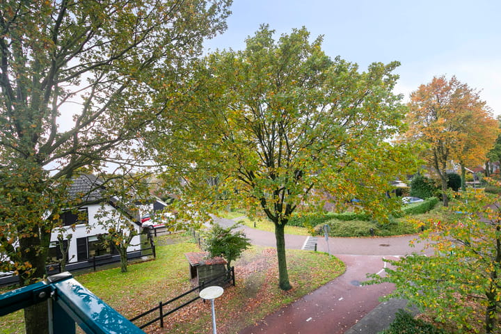 Foto 34 van Brummelkamp 42