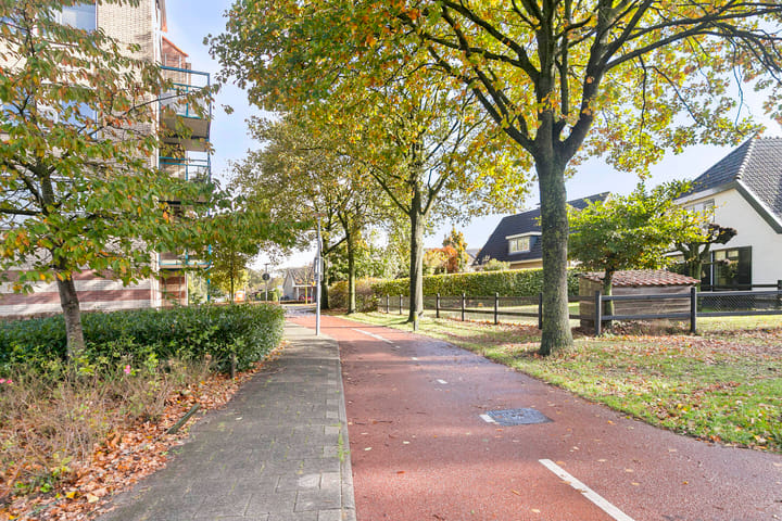 Foto 35 van Brummelkamp 42