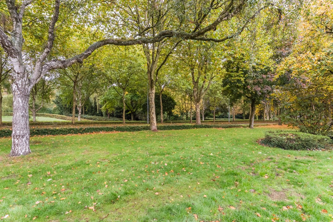 Foto 38 van Mgr. Nolensstraat 19