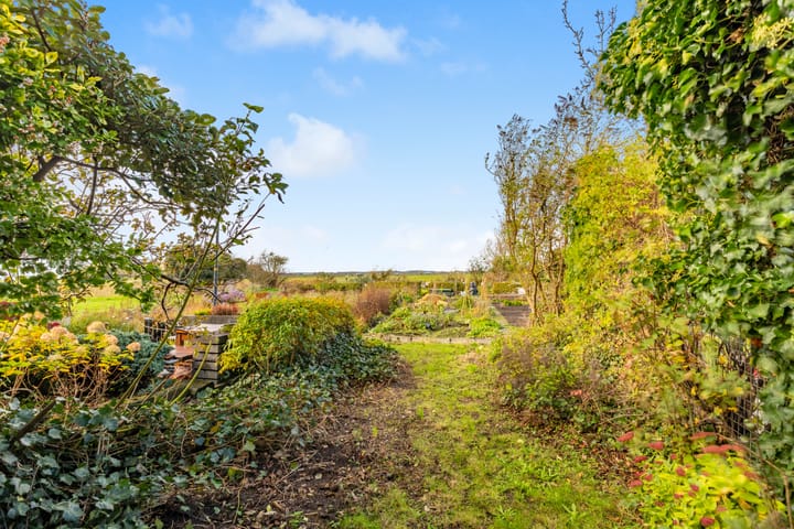 Foto 29 van Benesserlaan 302