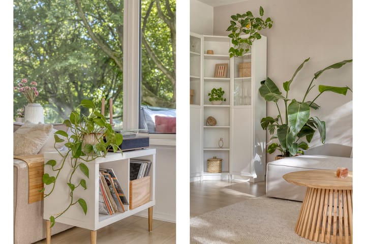 Foto 19 van Pedro Cabralstraat 37