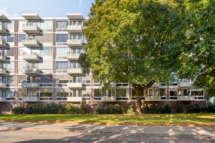 Foto 3 van Pedro Cabralstraat 37