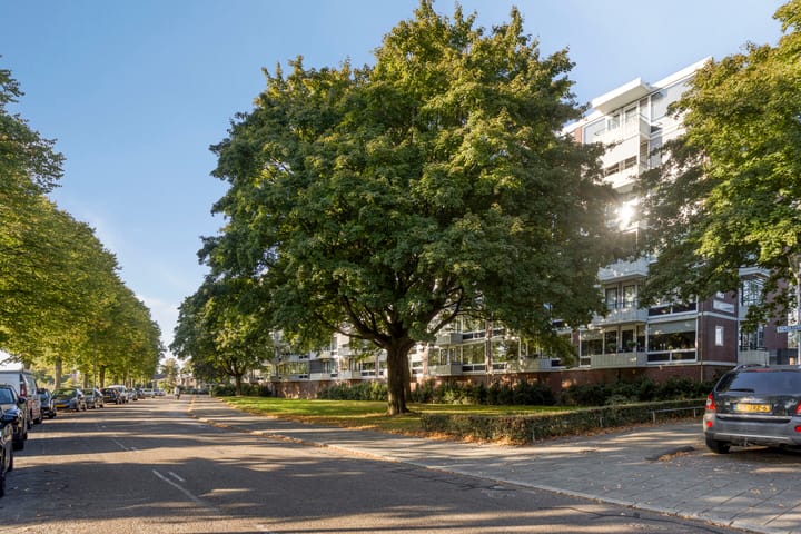 Foto 2 van Pedro Cabralstraat 37