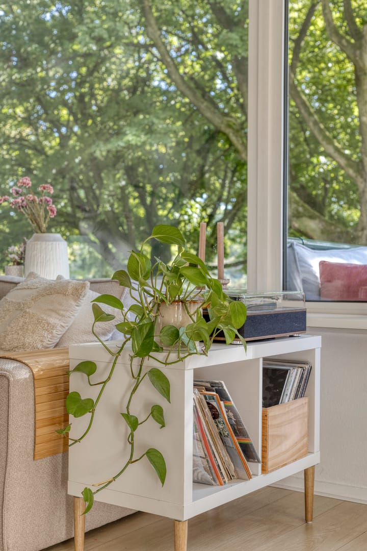 Foto 17 van Pedro Cabralstraat 37