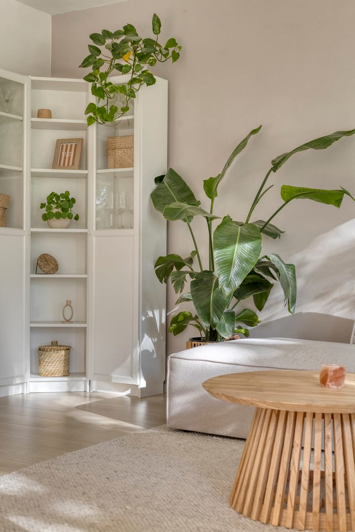 Foto 18 van Pedro Cabralstraat 37