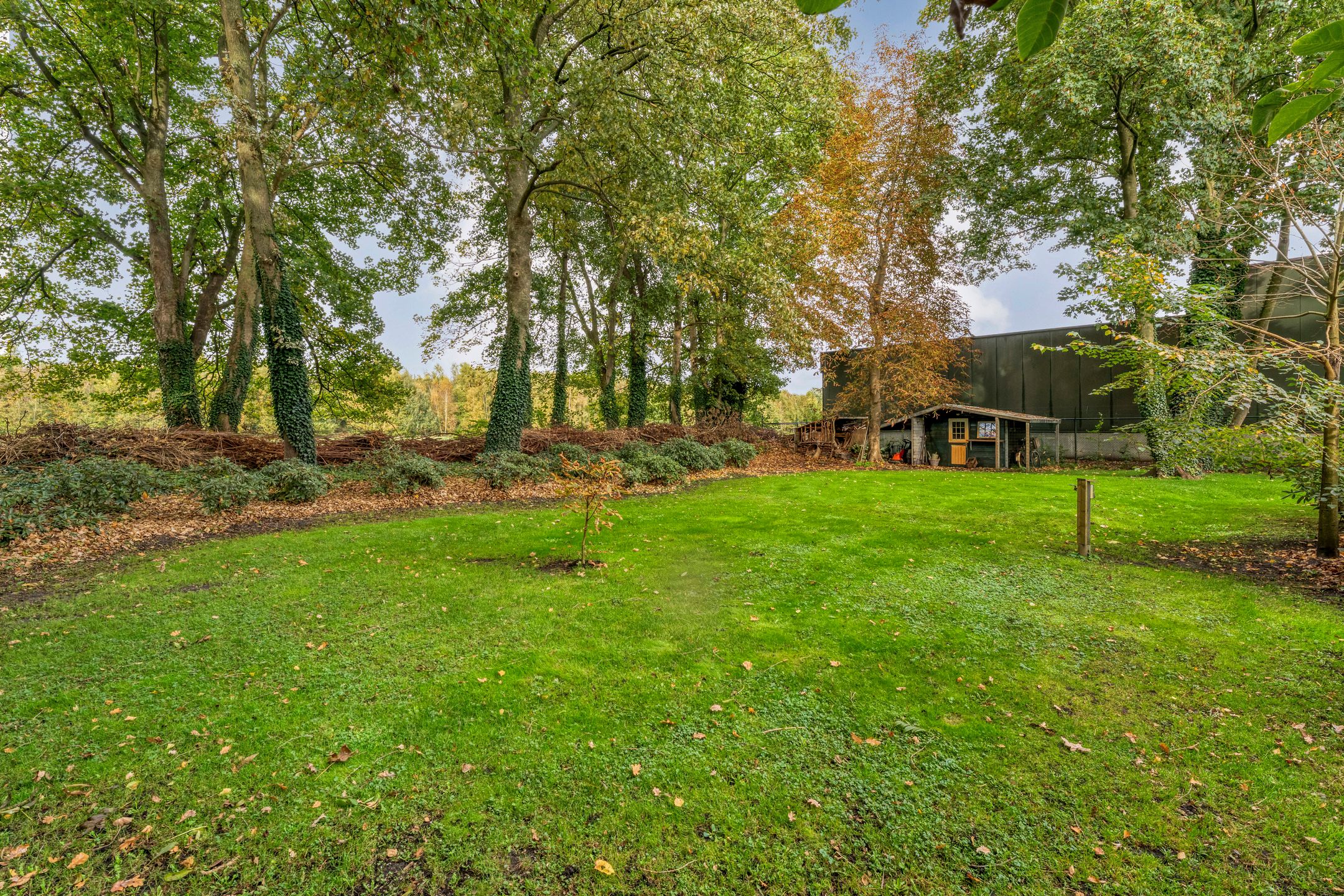 Foto 93 van Langewijk 190