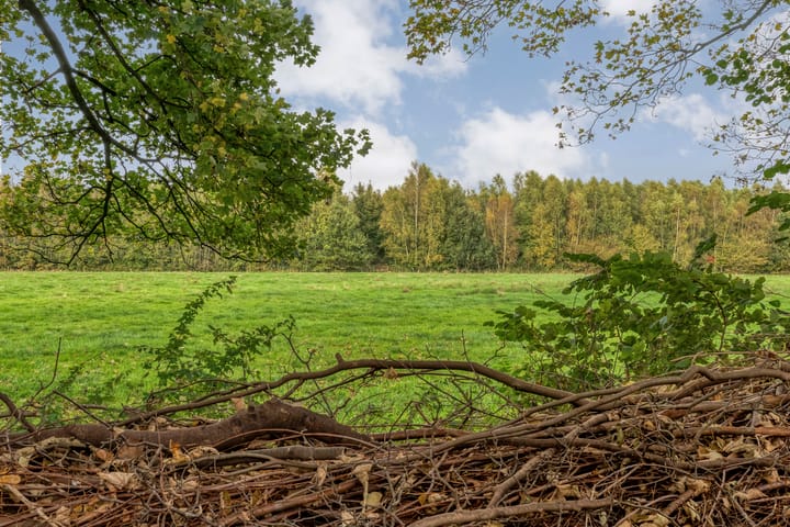 Photo 94 of Langewijk 190