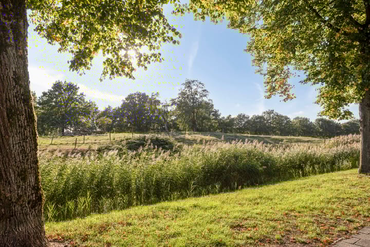 Foto 42 van Pedro Cabralstraat 37