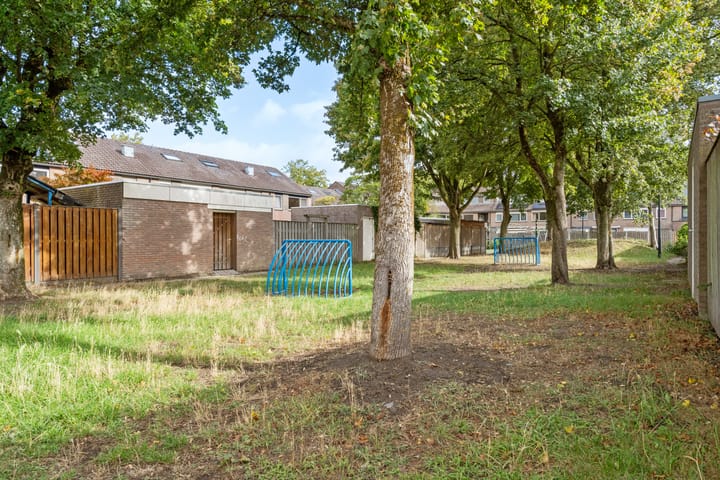 Foto 36 van Gouddonk 5