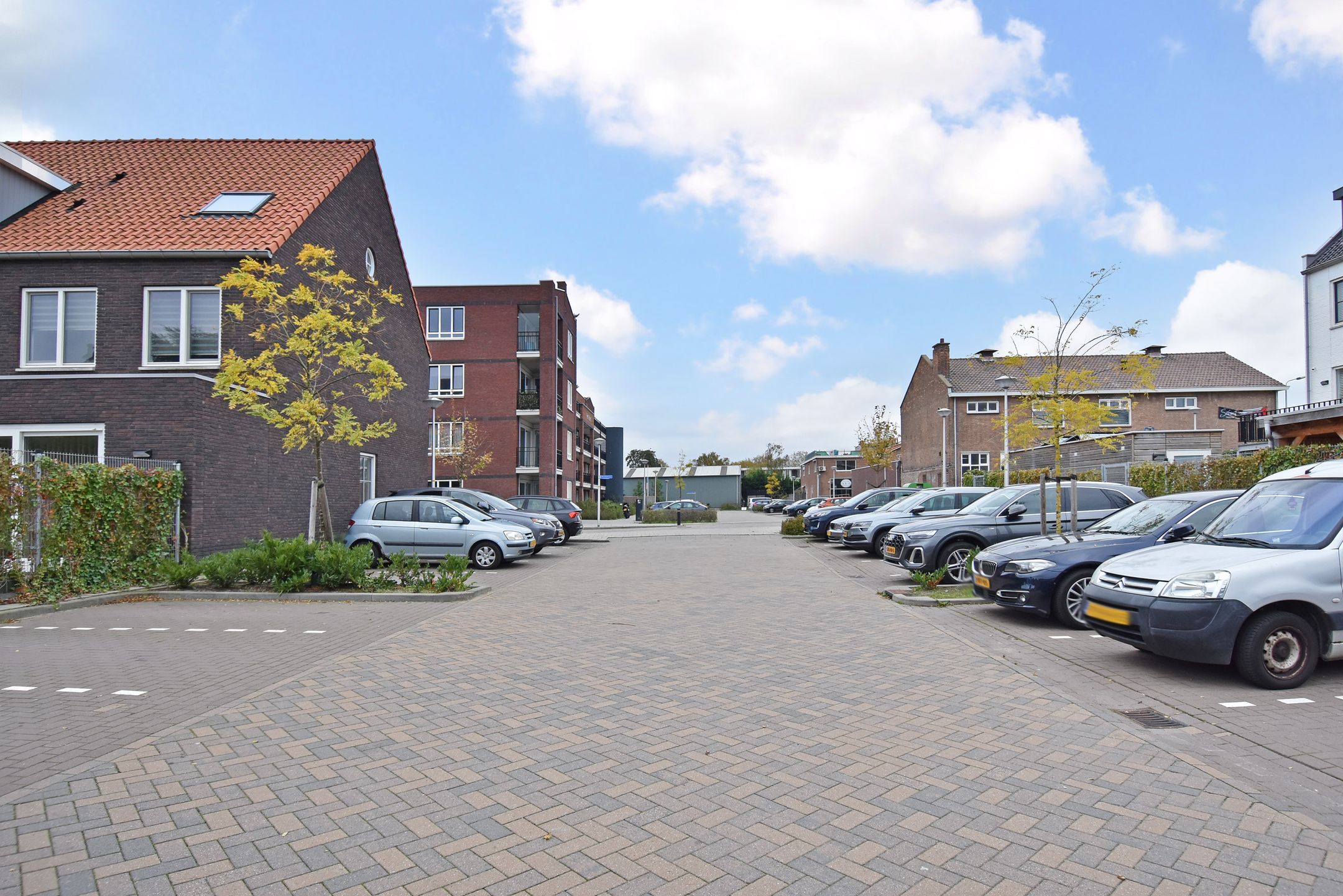 Photo 36 of Bonfut 12