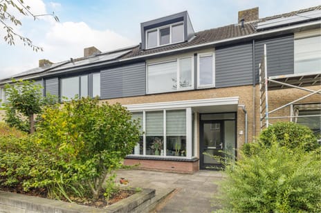 undefined main image