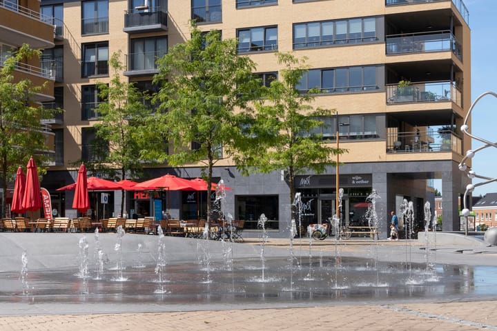 Foto 29 van Maanzaadstraat 24