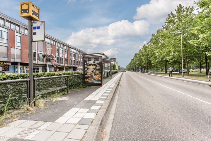 Foto 49 van Zevenblad 91