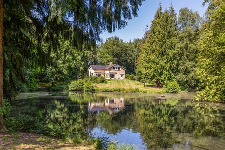 Wolvenbos 9 secondary image