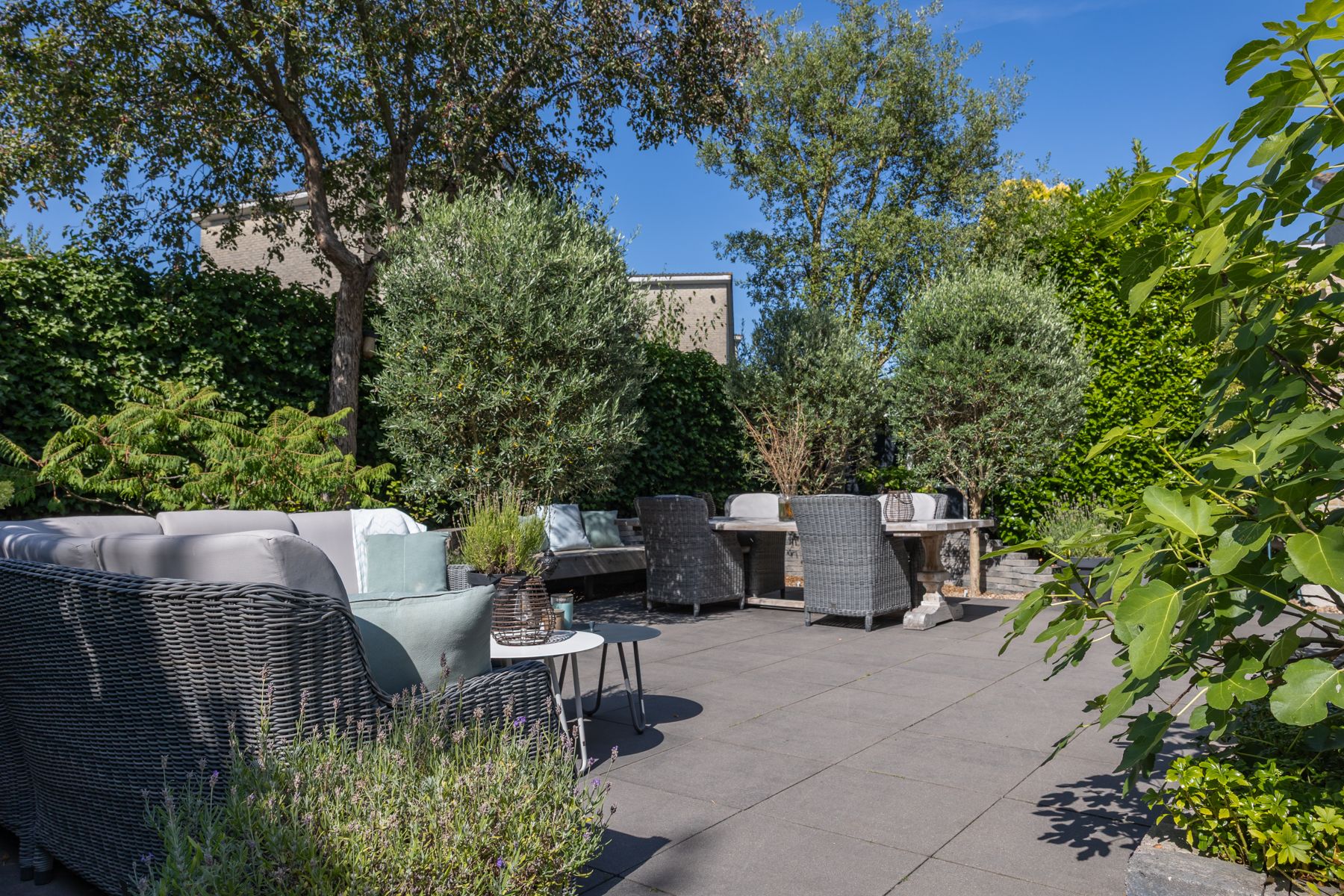 Foto 9 van Dolfijnpark 10