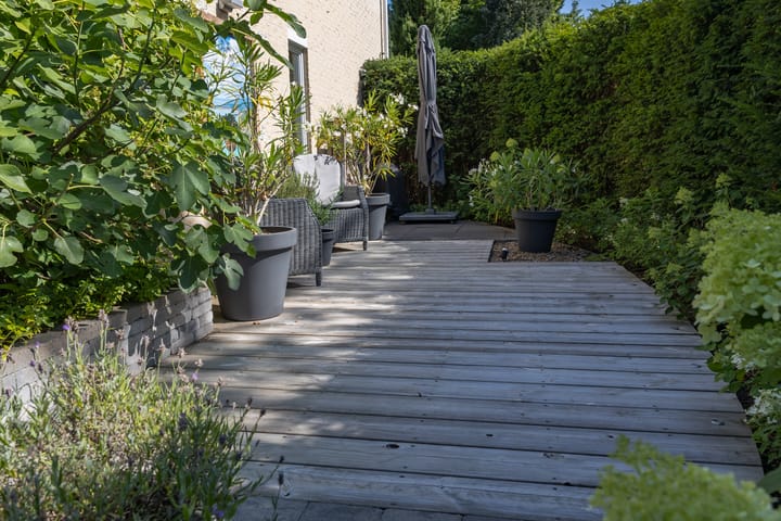 Foto 17 van Dolfijnpark 10