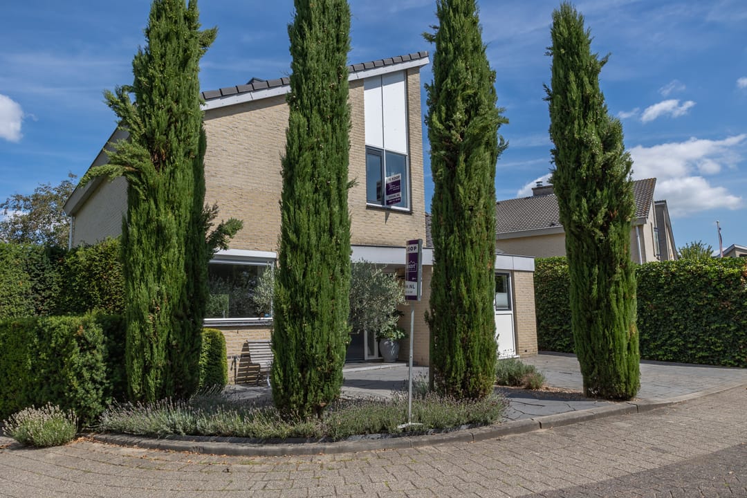 Foto 38 van Dolfijnpark 10