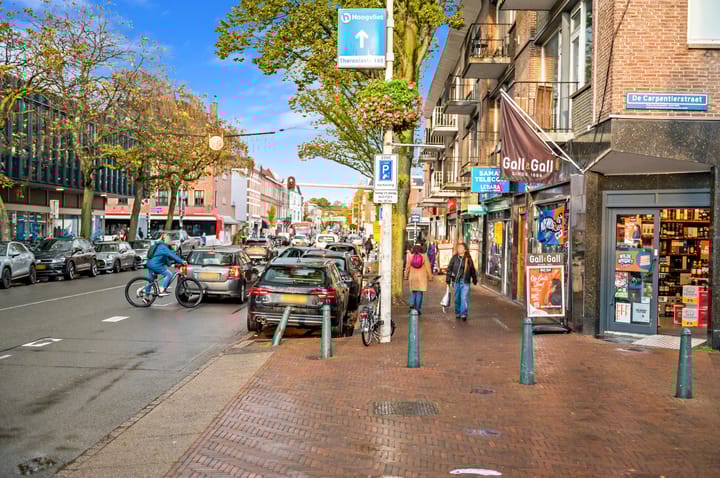 Foto 49 van Rijklof van Goensstraat 19