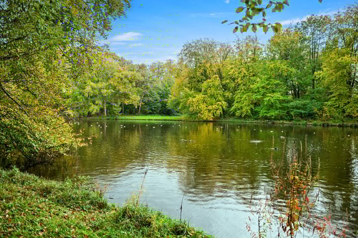 Foto 50 van Rijklof van Goensstraat 19