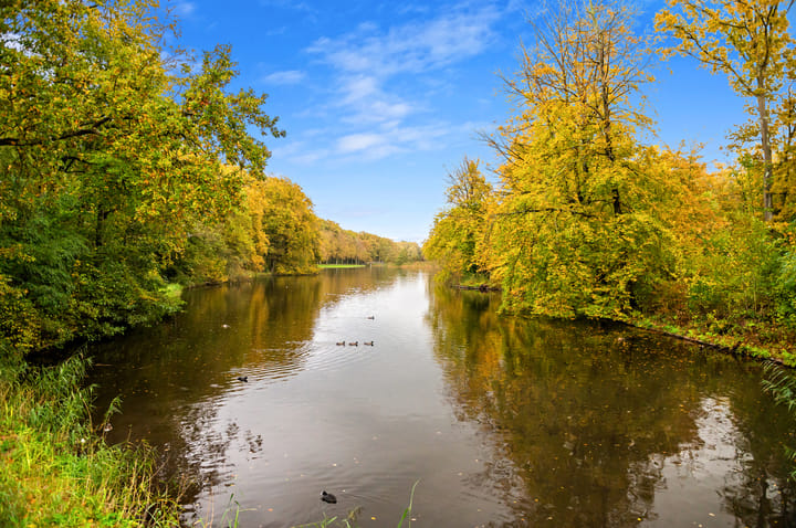 Foto 56 van Rijklof van Goensstraat 19