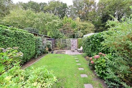 Stam 23 secondary image