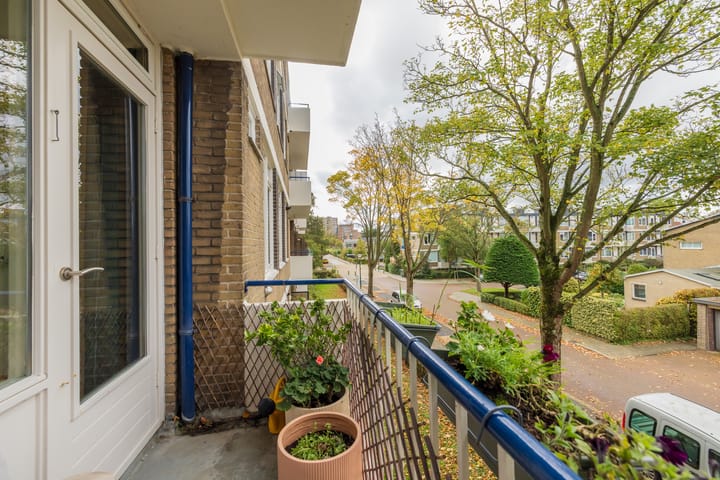 Foto 37 van Ridderspoorlaan 43