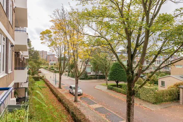 Foto 38 van Ridderspoorlaan 43