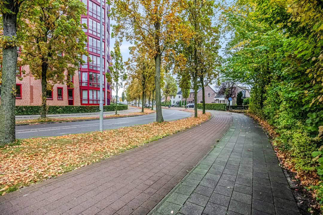 Foto 53 van Reigerstraat 12