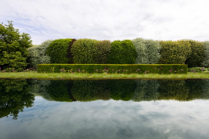 Foto 18 van De Haal 72