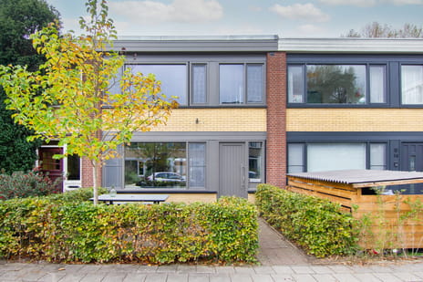 undefined main image