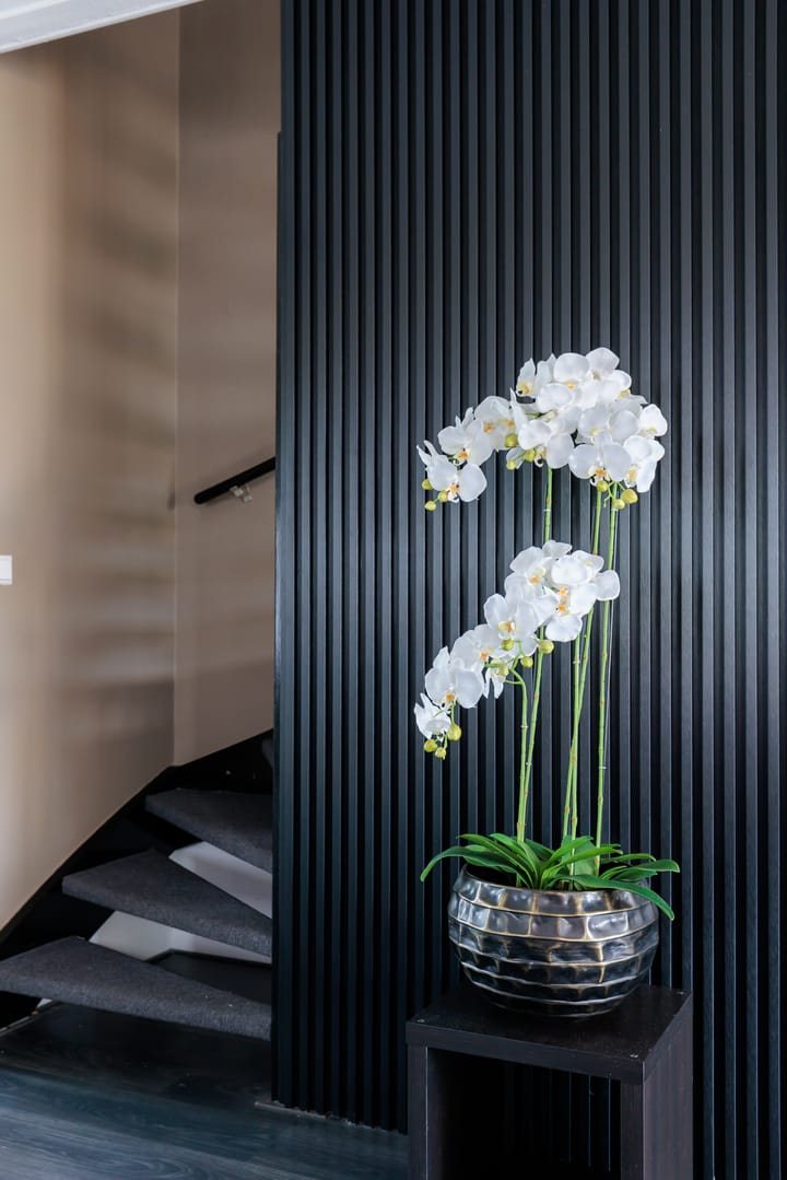 Foto 20 van Helenusstraat 8