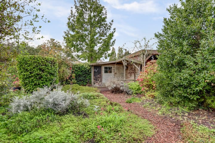 Foto 18 van Lobeliastraat 34