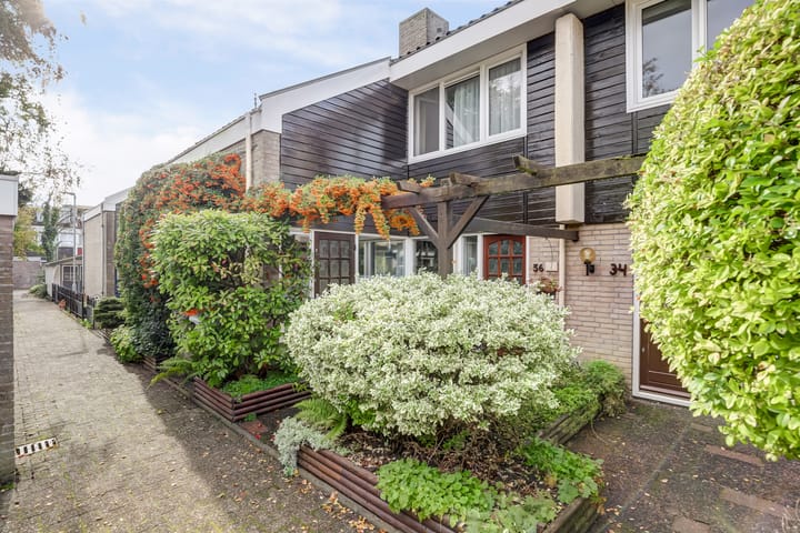 Foto 39 van Lobeliastraat 34