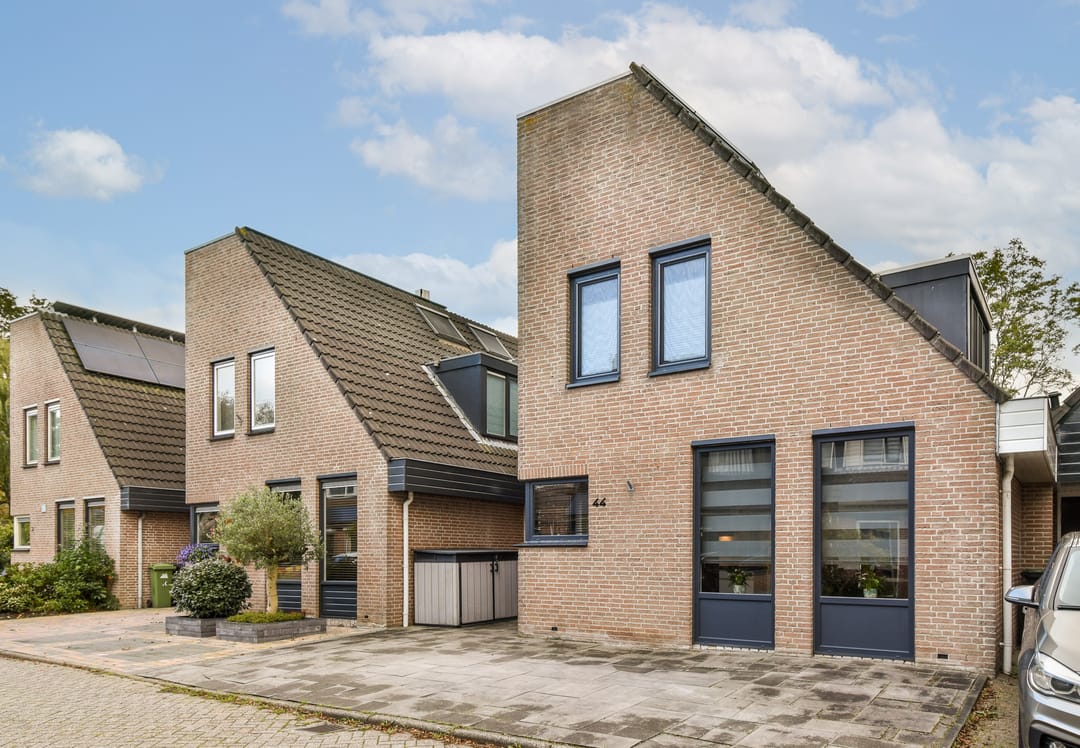 Photo 1 of Houtduif 44