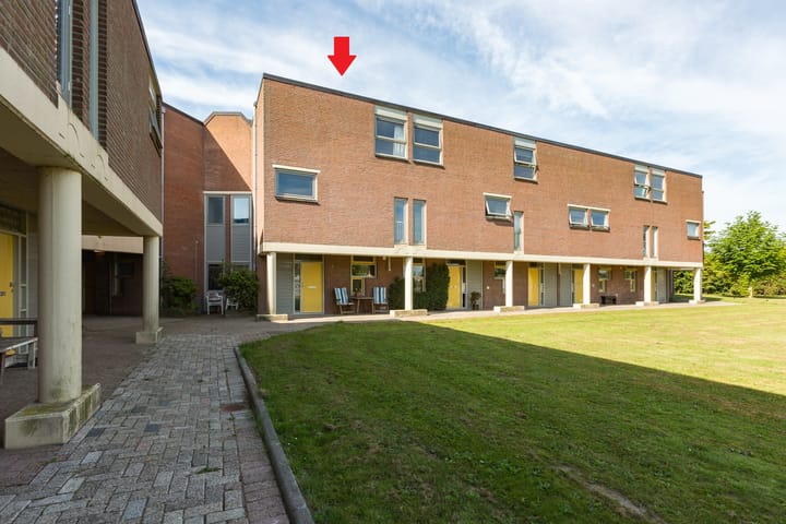 Jupiter 46 main image