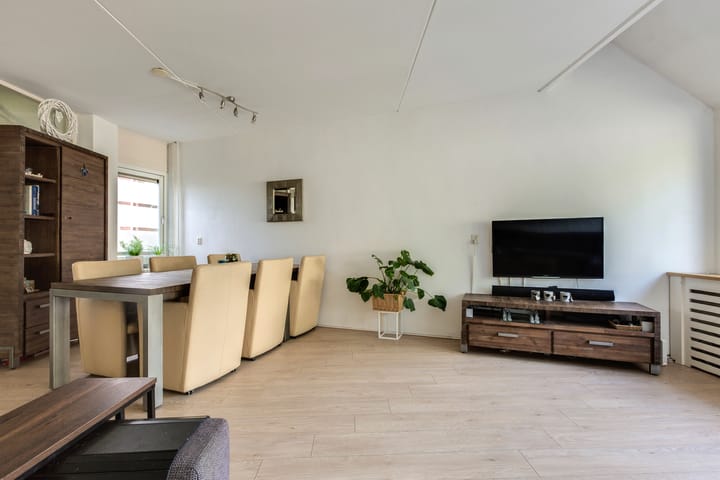 Foto 12 van Jupiter 46