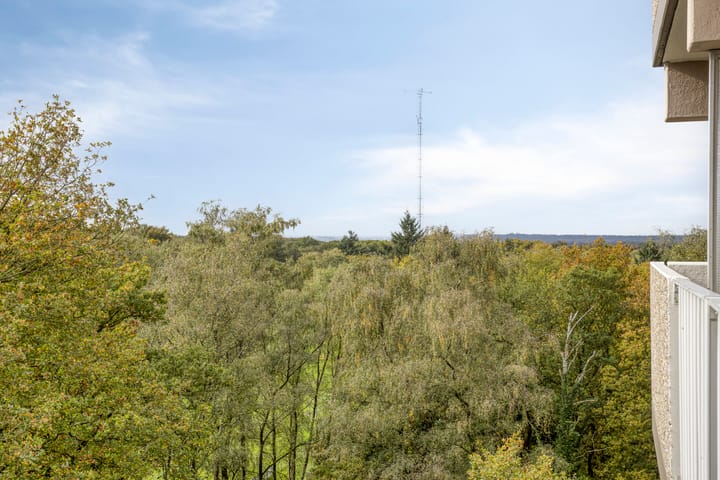 Foto 25 van Koningsberg 73