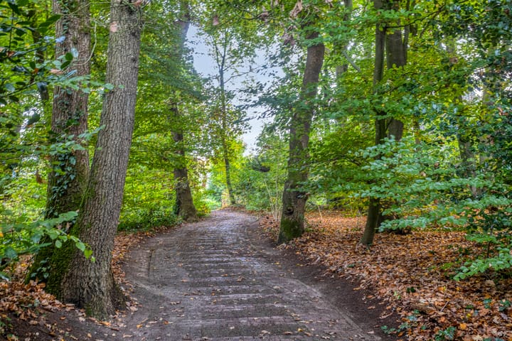 Foto 26 van Koningsberg 73