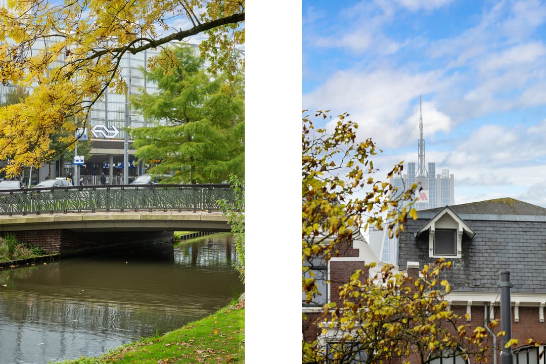 Foto 17 van Provenierssingel 75-A01