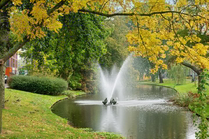 Foto 19 van Provenierssingel 75-A01