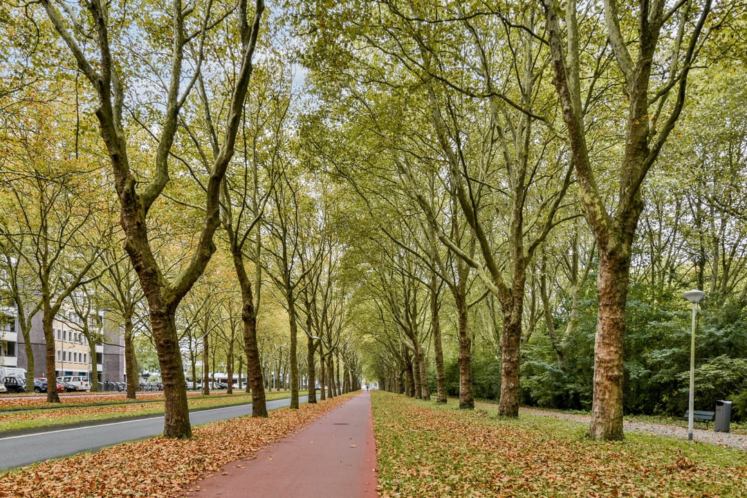 Foto 22 van Van Nijenrodeweg 777