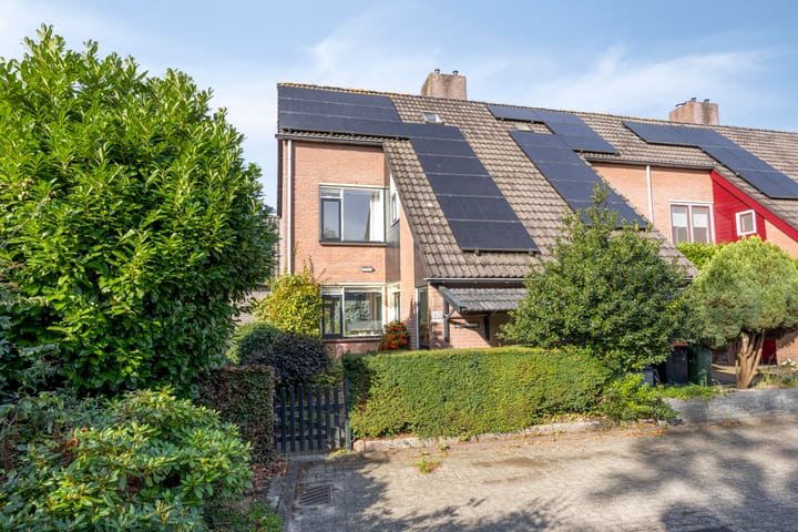 De Zeis 60 main image