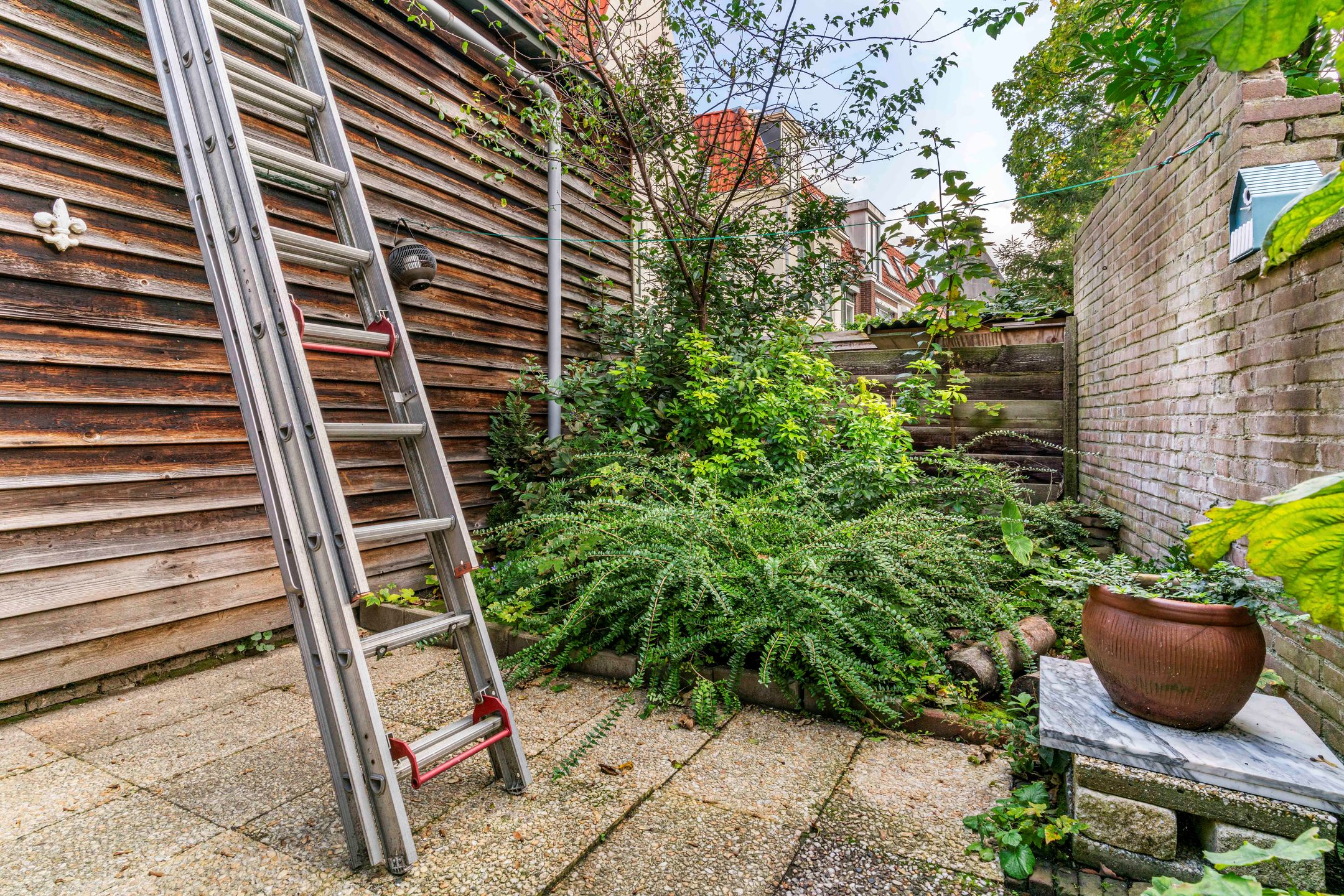 Foto 33 van Kaiserstraat 34