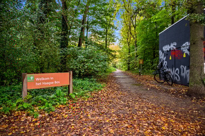 Foto 41 van Rijklof van Goensstraat 19