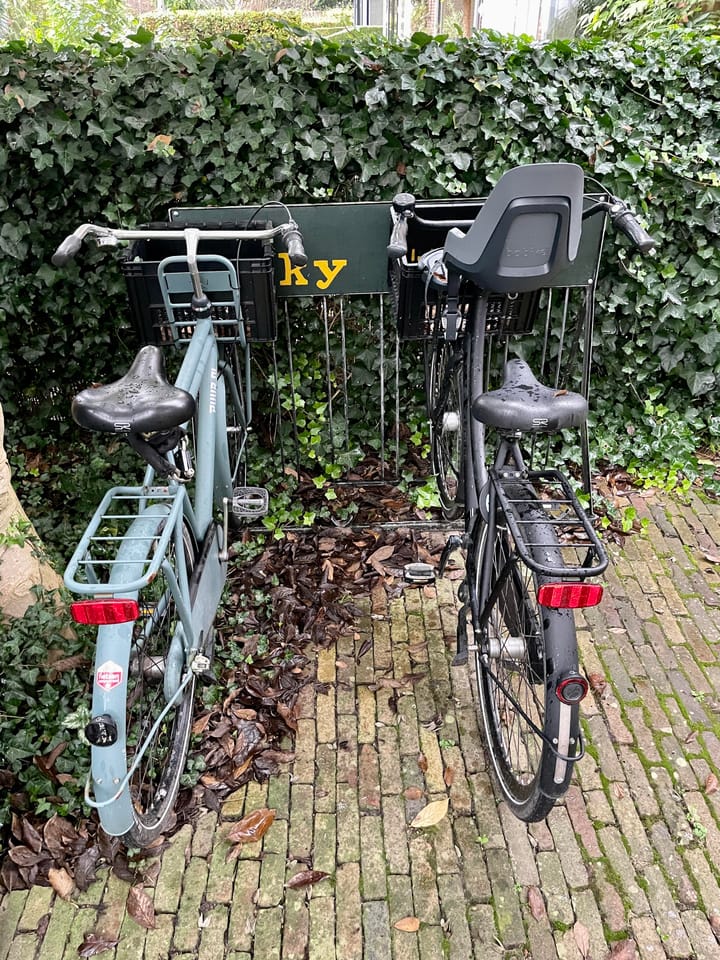 Foto 42 van Ruthardlaan 17