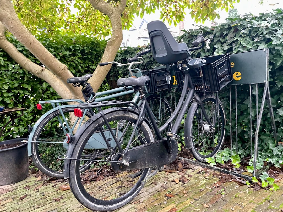 Foto 41 van Ruthardlaan 17