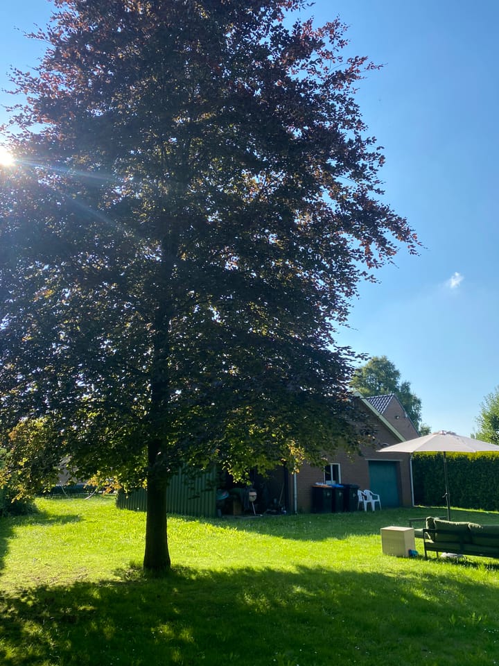 Foto 34 van Kampsestraat 3