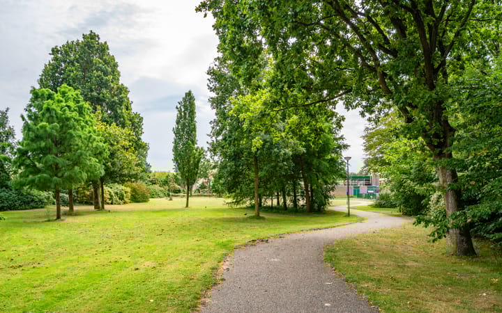 Photo 34 of Lupinesingel 176