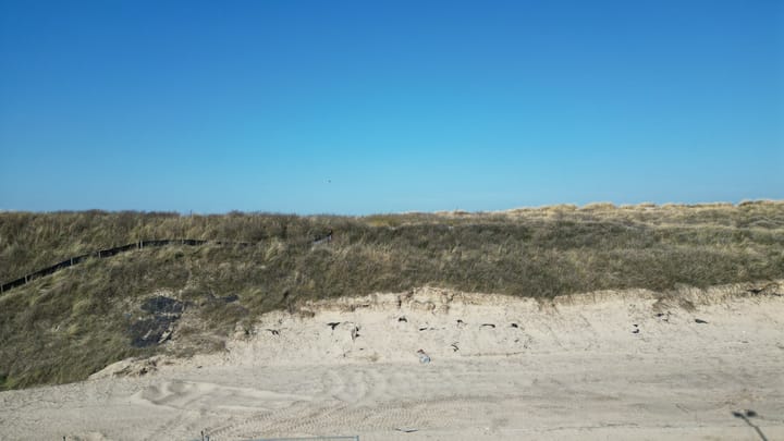 Foto 5 van Houtrustweg 583 (Bouwnr. 19)